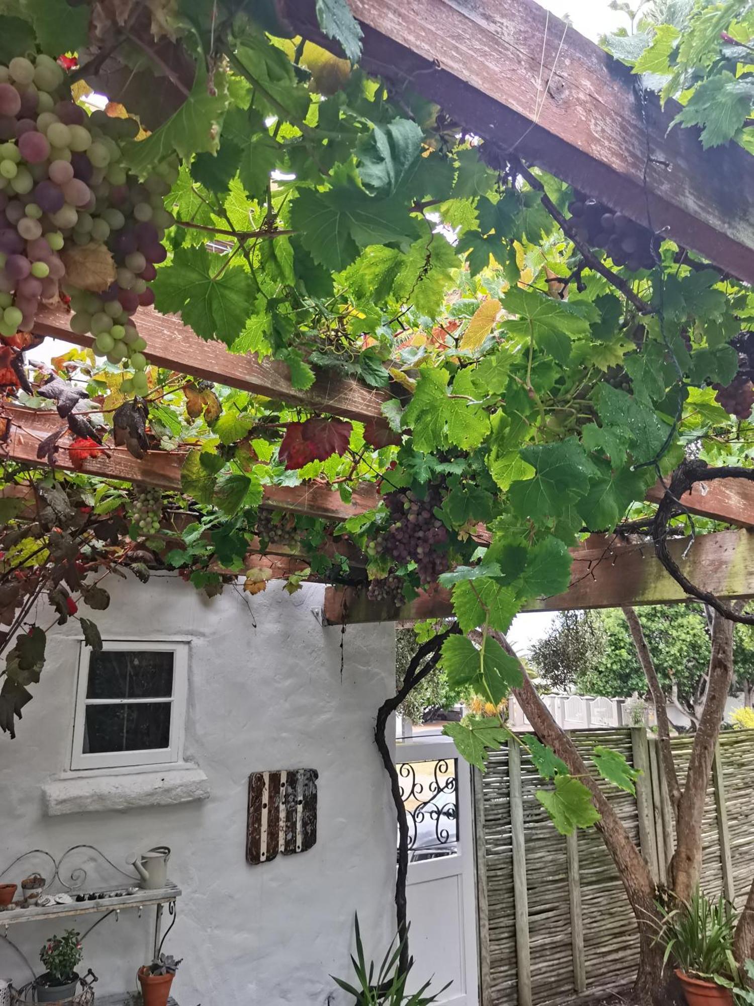 Vermont Lofts Hermanus Eksteriør bilde